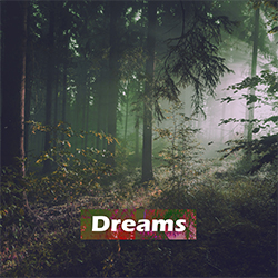 <b>Dreams</b> <br> <br> <p style="color:#888888;">Dubstep<br> D minor <br> 140 BPM <br>