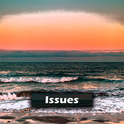 <b>Issues</b> <br> <br> <p style="color:#888888;">House<br> A# Minor <br> 120 BPM <br>