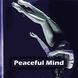 <b>Peaceful Mind</b> <br> <br> <p style="color:#888888;">Lofi<br> E Minor <br> 110 BPM <br>